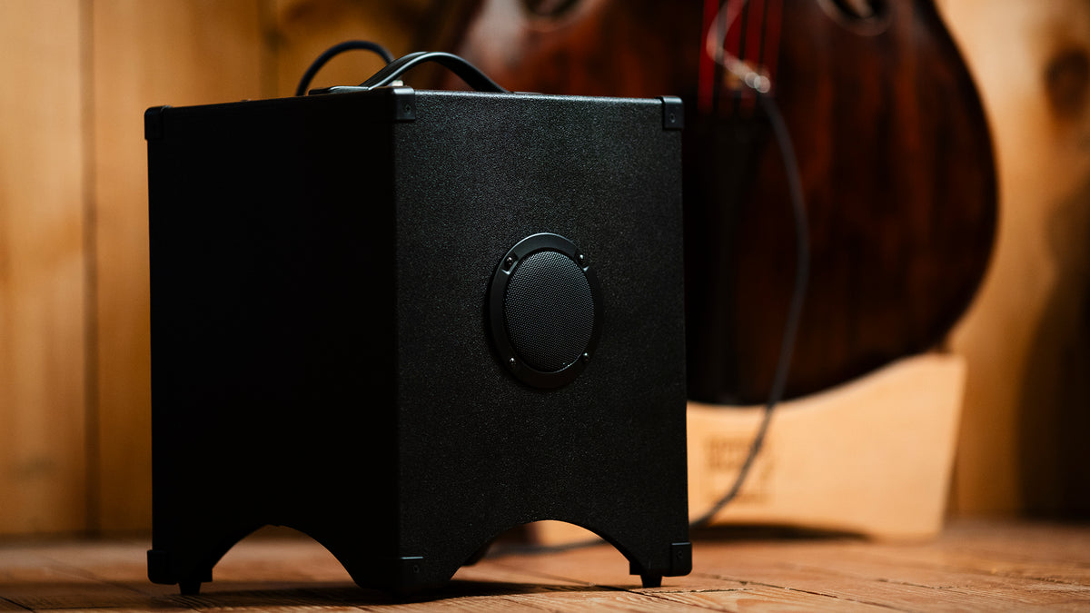 UPTONe Double Bass Amp Upright Bass Amplifier